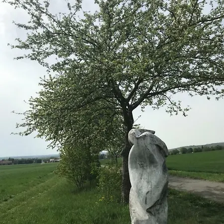 Ferienhaus Boos * Selzen